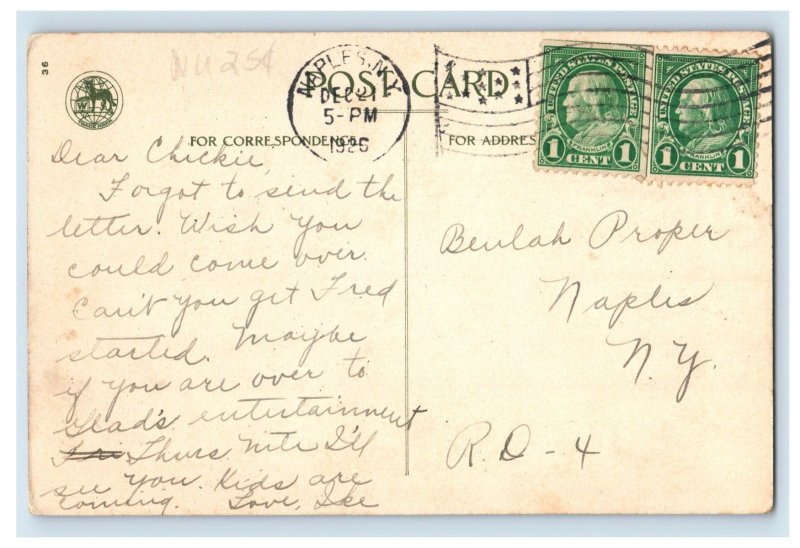 C1910 Wolf & Co Birds Snowy Scene Christmas Postcard P114E