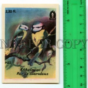 500286 HUNGARY Bird Parus Coeruleus Vintage match label