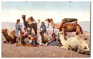 A Camel Driver Egypt Postcard