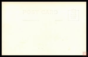 Barrel Cactus of Arizona