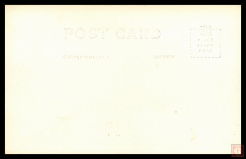 Barrel Cactus of Arizona