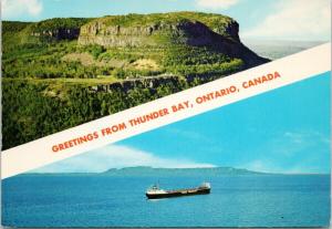 Greetings from Thunder Bay Ontario ON Lakehead Harbour Ship c1976 Postcard D56