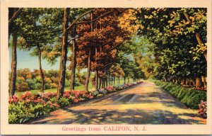 Postcard New Jersey - Califon - Greetings NYCE Landscape PM 1942