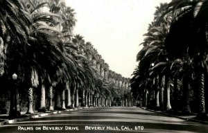 C.1910 Palms on Beverly Drive, Beverly Hills, Cal. Vintage Postcard P120
