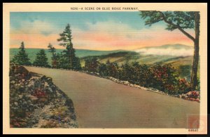 A Scene on Blue Ridge Parkway, NC