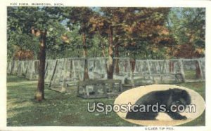 Fox Farm - Muskegon, Michigan MI Postcard
