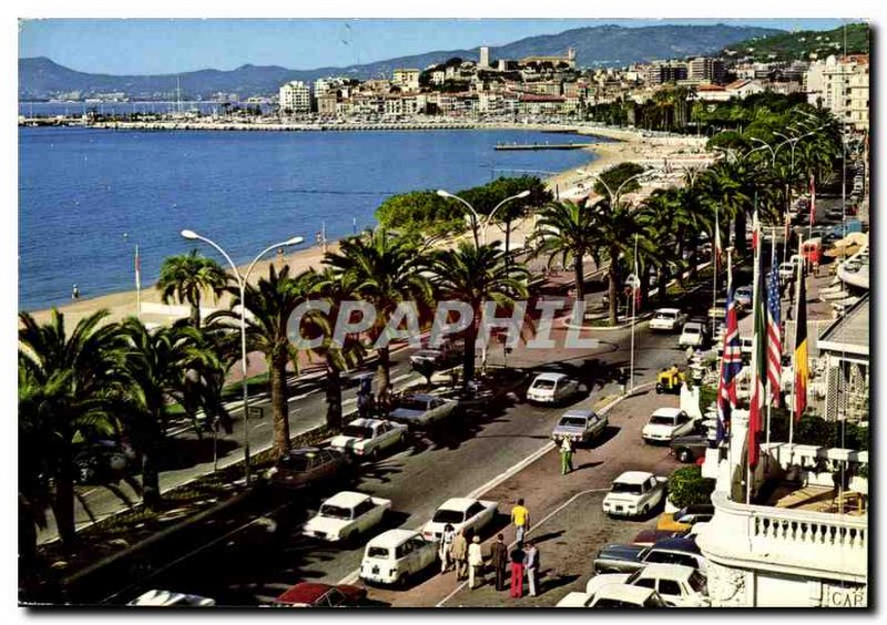 Modern Postcard Cannes Riviera French Riviera Croisette Deep