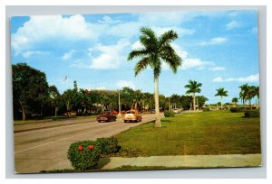 Vintage 1950's Postcard Antique Cars Drive Down Bayshore Drive Tampa Florida