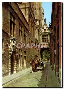 Modern Postcard Brugge Street Blind Donkey with the Bridge of Sighs