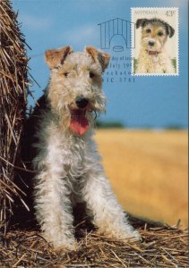Animals Postcard - Dogs - Australian Dog, 1st Day of Issue Stamp RR15746