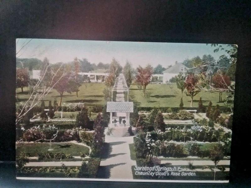 Postcard  Chauncey Olcott's Rose Garden, Saratoga Springs, NY Z1