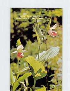 Postcard The Lady Slipper, Minnesota's State Flower, Minnesota