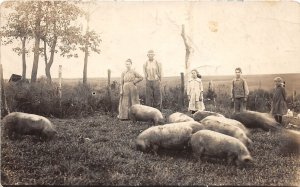 J62/ Westphalia Kansas RPPC Postcard c1910 Farm Scene Farmers Pig Hogs 46