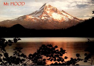 Oregon Mount Hood Overlooking Lost Lake 1983