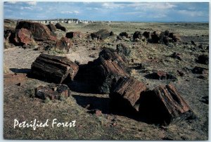 Postcard - Petrified Logs, Petrified Forest National Park - Arizona