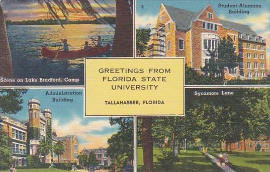 Florida Tallahassee Greetings From Florida State University Multi View 1957