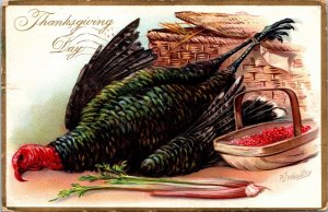 Dead Turkey Cranberries Celery Tuck's  embossed Thanksgiving Day Postcard