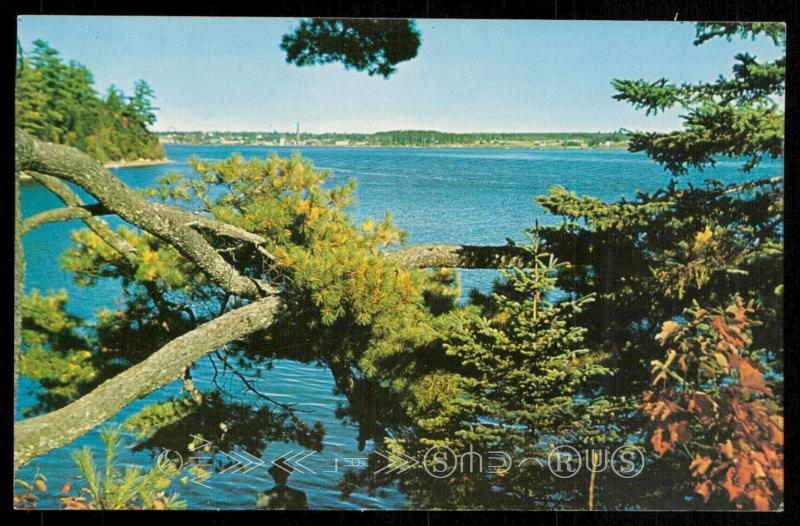 Overlooking the S.W . Miramichi River