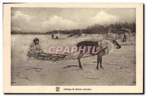 Old Postcard Polar Alaska reindeer hitch