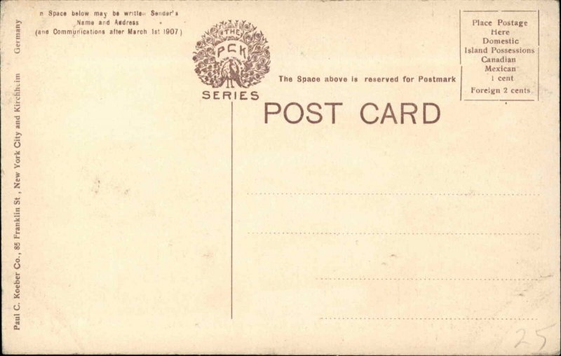 Monterey California CA Looking North Homes c1910 Postcard