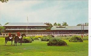 New York Saratoga The Infield Saratoga Race Track