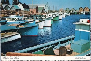 Postcard CAN PEI Malpeque Cove at Cabot Park Camping Area