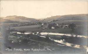 G30/ Rushville Pennsylvania RPPC Postcard c1910 The Forks Church Homes