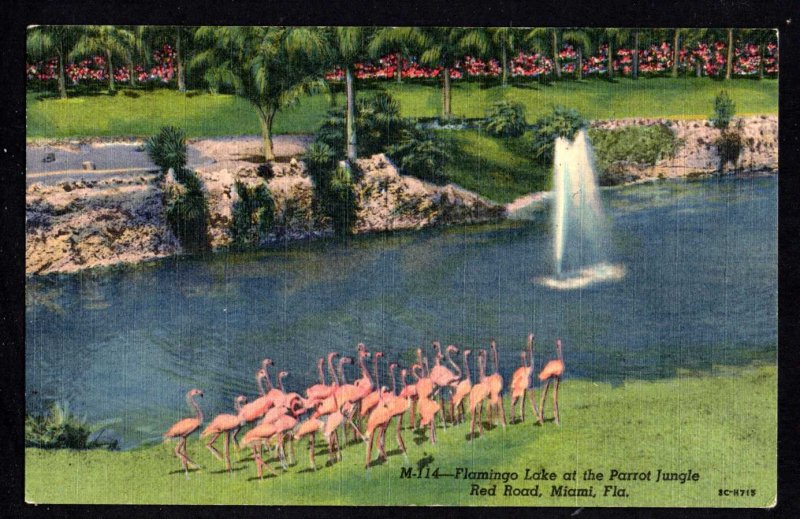 Florida MIAMI Flamingo Lake at the Parrot Jungle, Red Road - Linen