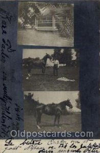 Horse 1906 