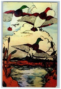 c1950s Mouth Artist Nyla Thompson Birds Painting,One of Series of 24 Postcard