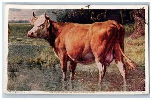 Erie North Dakota ND Postcard Boost For Erie Cow Scenic View c1920's Antique