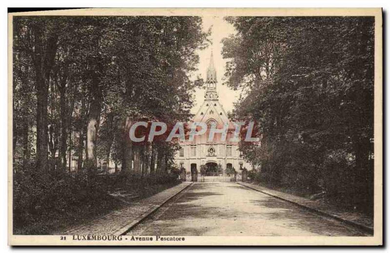 Old Postcard Luxembourg Avenue Pescatore