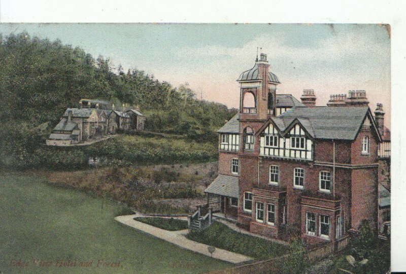 Worcestershire Postcard - Edge View Hotel and Forest - Ref 10311A