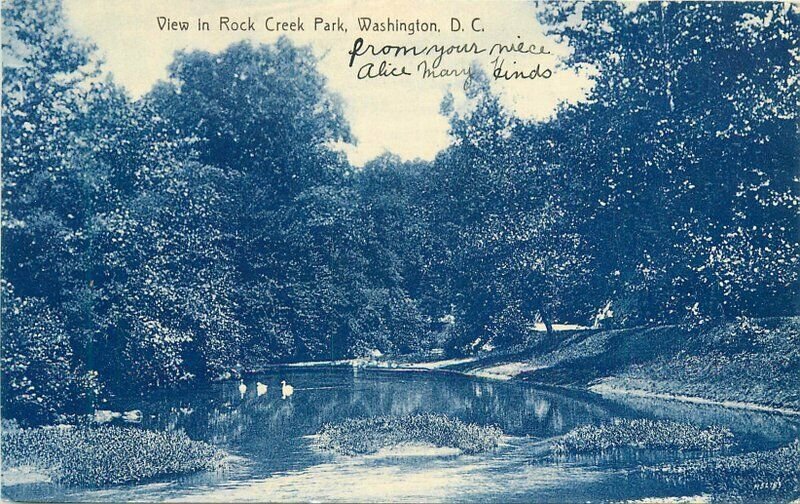 DC Washington View Rock Creek Park Brooke #63 1908 Postcard 22-4900