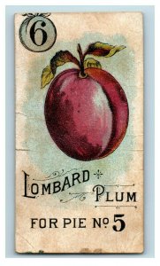 1880s Victorian Trade Card Lombard Plum For Pie N0.5 P228