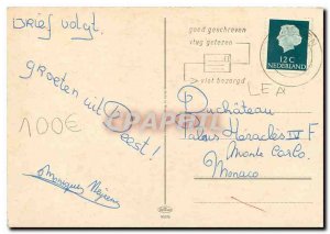 Modern Postcard Cat Kitten