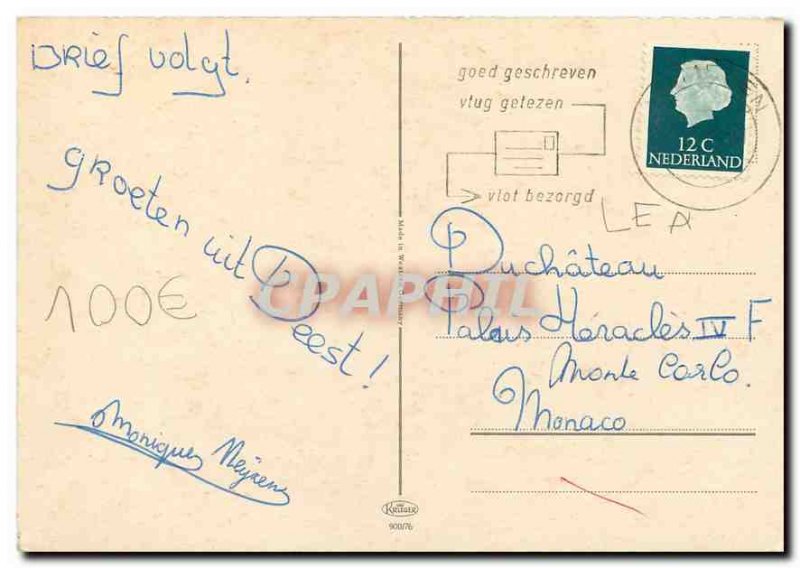 Modern Postcard Cat Kitten