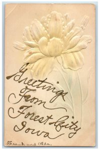 1912 Greetings From Forest City Gold Letters Iowa IA Flower Embossed Postcard