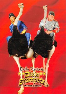 Advertising  DOLLY PARTON'S DIXIE STAMPEDE SHOW  Riding Ostriches  4X6 Postcard