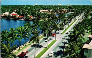USA Las Olas Boulevard Fort Lauderdale Florida Chrome Postcard C006