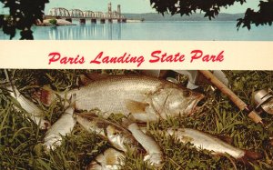 Vintage Postcard Paris Landing State Park Catching Fish Kentucky Lake Greetings