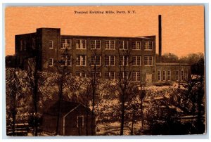 c1910's Tempest Knitting Mills Building Perry New York NY Antique Postcard