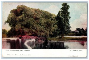 c1910 The Island on the Thames St. Marys Ontario Canada Antique Postcard
