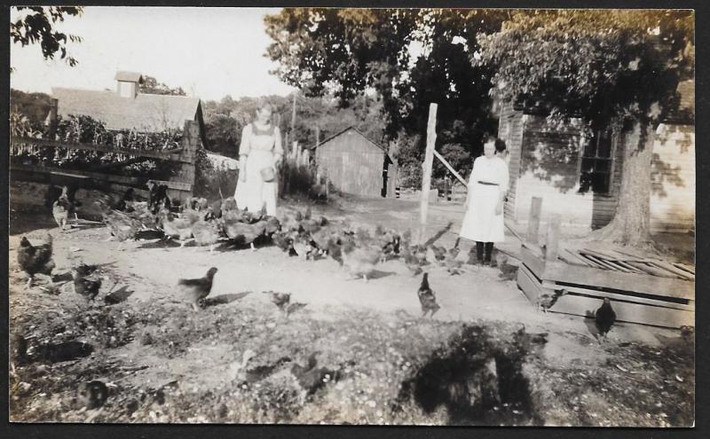 Two Farm Women Feeding Chickens Near House RPPC Unused c1910s