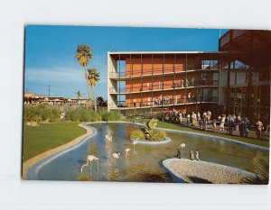 Postcard Flamingo And Penguin Pool, Marineland of the Pacific, California