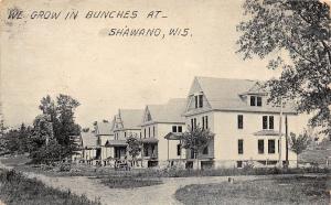 B46/ Shawano Wisconsin Wi Postcard 1914 Grow in Bunches Homes Street