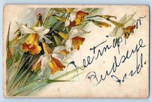 Birdseye Indiana IN Postcard Greetings Embossed Flowers Leaves View 1912 Antique