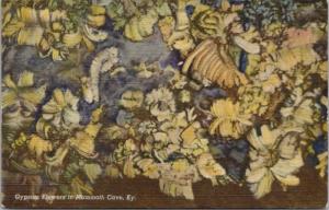 Gypsum Flowers Mammoth Cave Kentucky KY Unused Linen Postcard D60