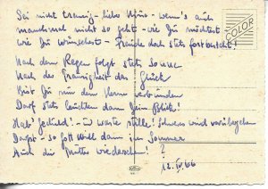 Anoimals. Two dogs in a basket Modern German photo postcard 1970s