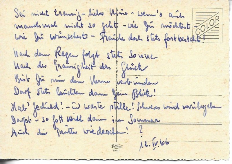 Anoimals. Two dogs in a basket Modern German photo postcard 1970s